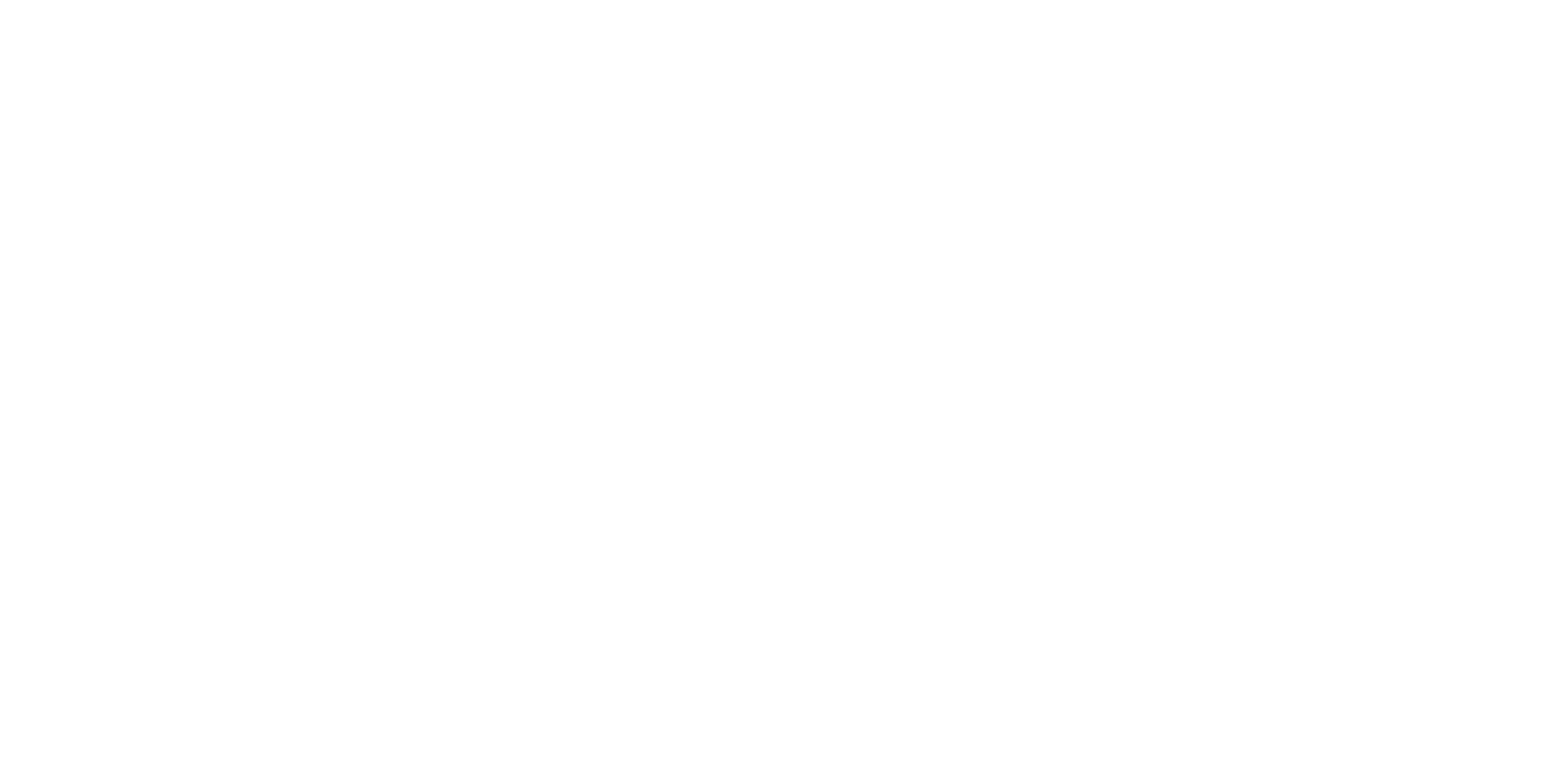 RE/MAX ICON